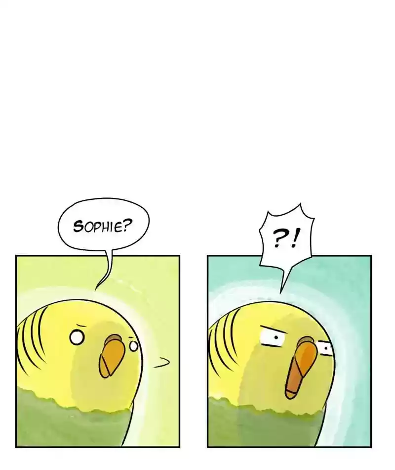 A Budgie's Life Chapter 200: Ep.199: