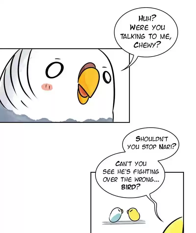 A Budgie's Life Chapter 200: Ep.199: