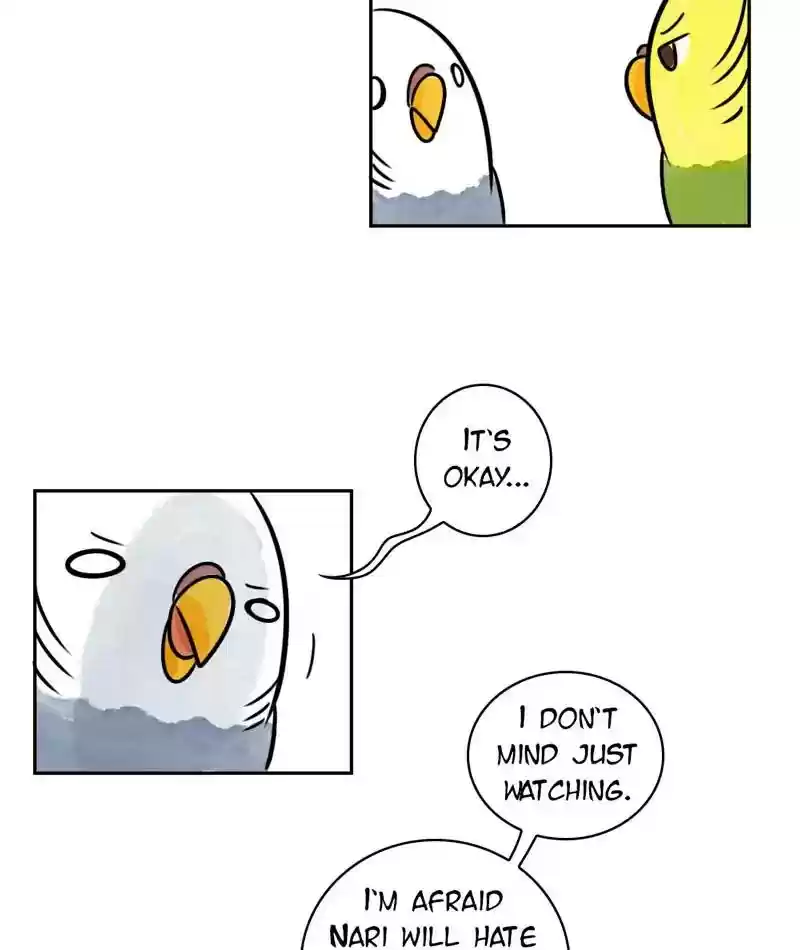 A Budgie's Life Chapter 200: Ep.199: