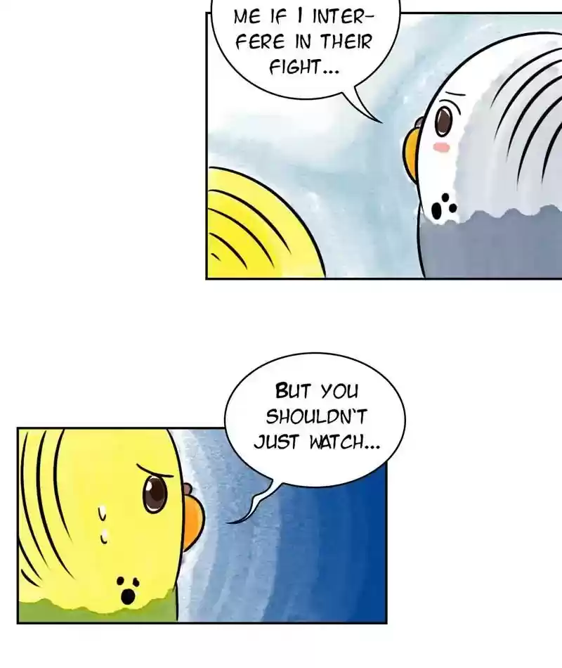 A Budgie's Life Chapter 200: Ep.199: