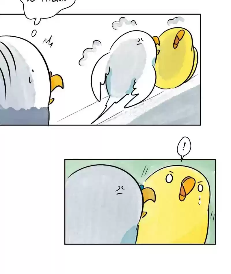 A Budgie's Life Chapter 200: Ep.199: