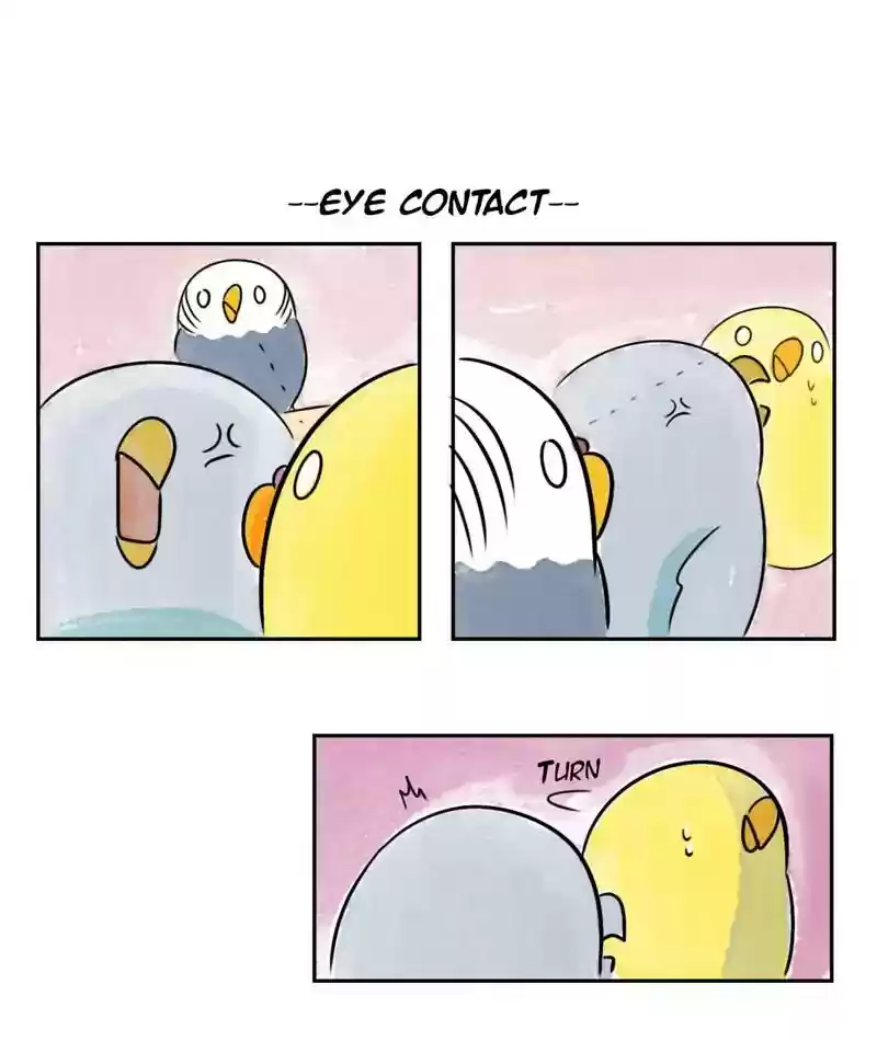 A Budgie's Life Chapter 200: Ep.199: