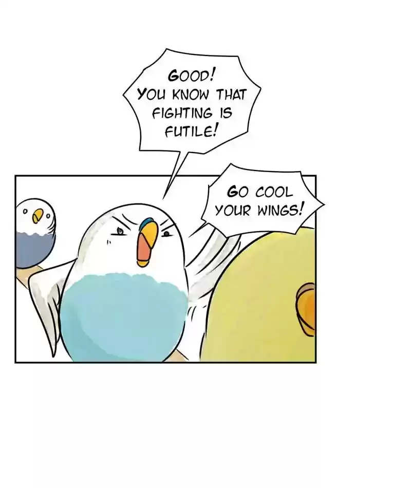 A Budgie's Life Chapter 200: Ep.199: