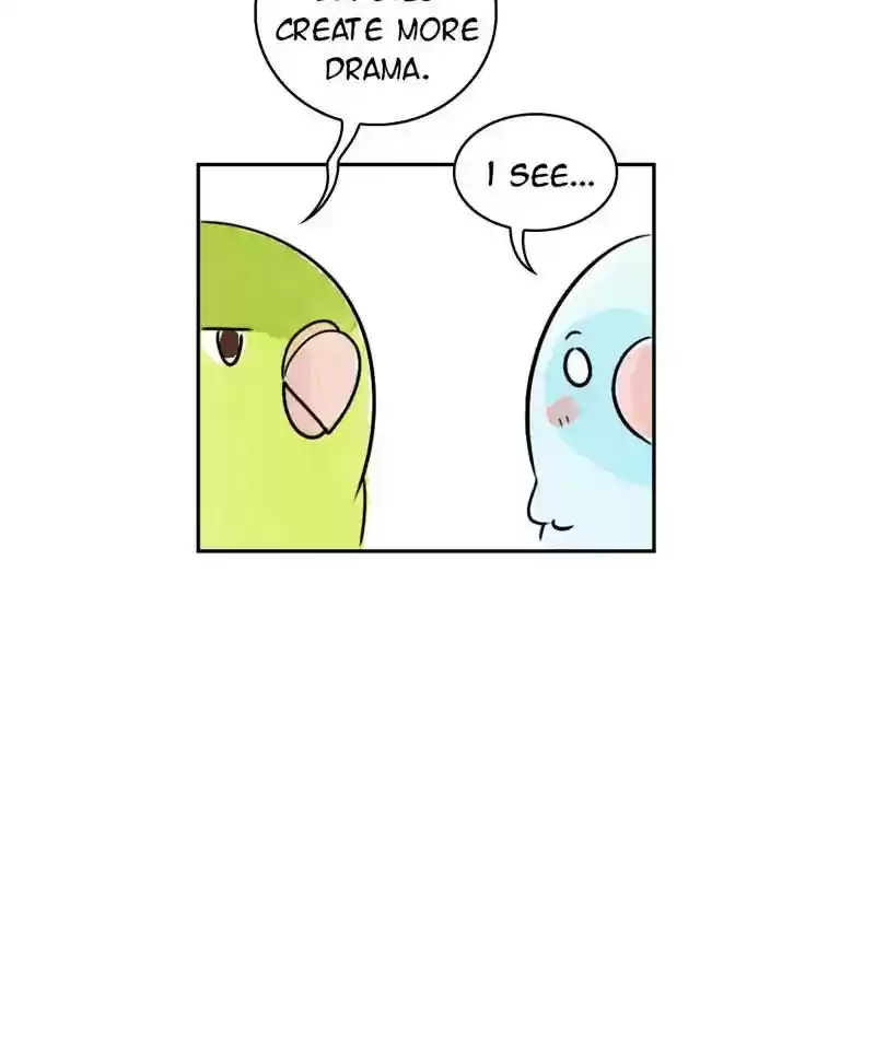 A Budgie's Life Chapter 200: Ep.199: