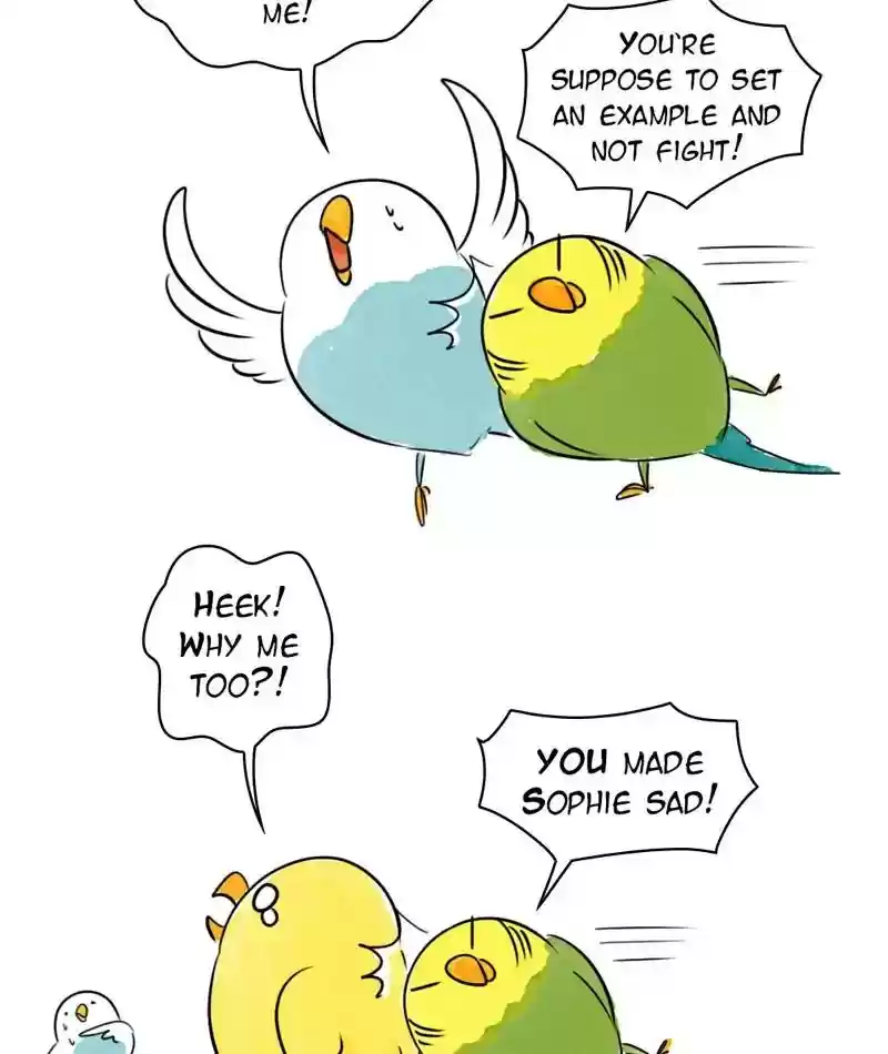 A Budgie's Life Chapter 200: Ep.199: