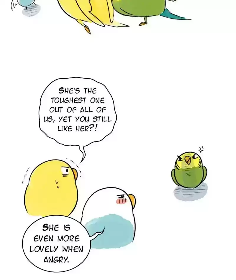 A Budgie's Life Chapter 200: Ep.199: