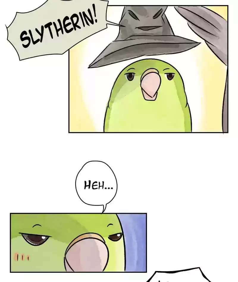 A Budgie's Life Chapter 201: Ep.200: