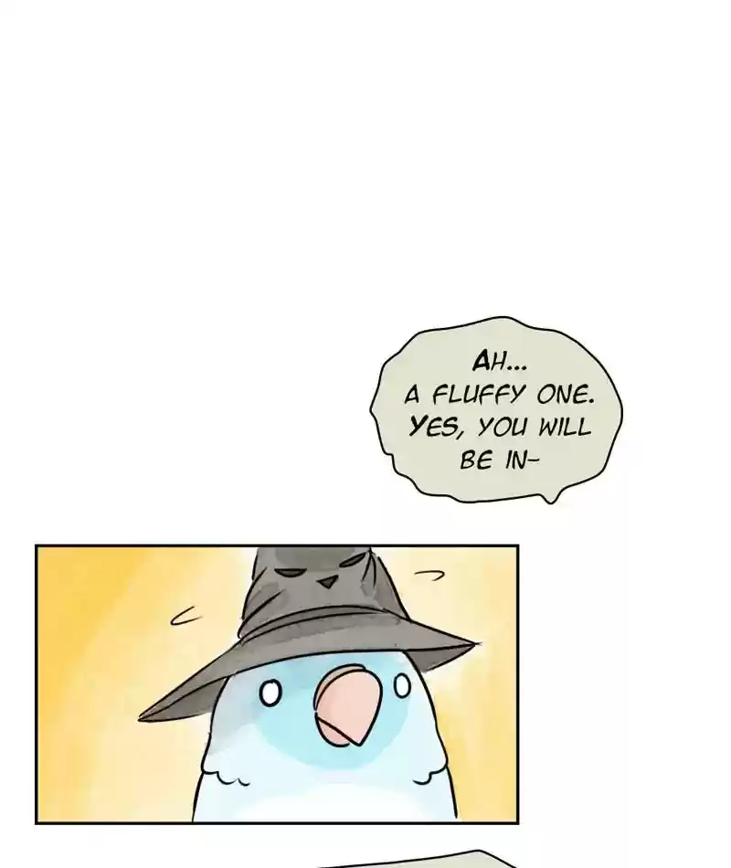 A Budgie's Life Chapter 201: Ep.200: