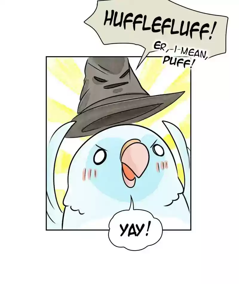A Budgie's Life Chapter 201: Ep.200: