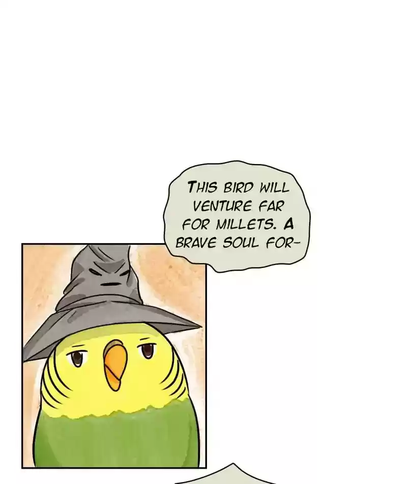 A Budgie's Life Chapter 201: Ep.200: