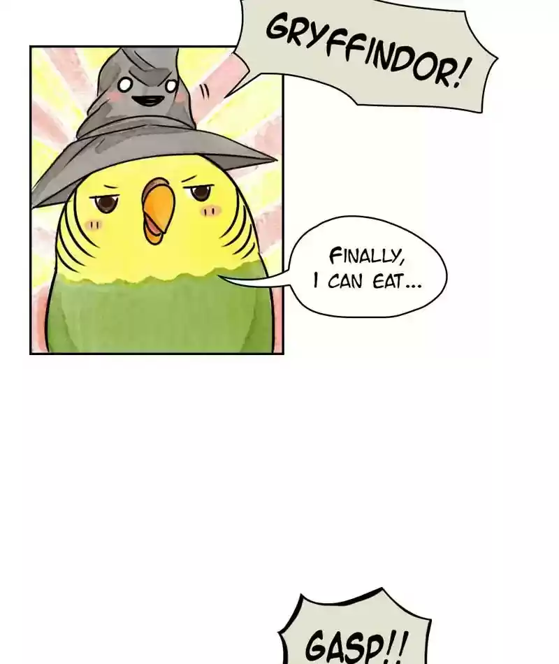 A Budgie's Life Chapter 201: Ep.200: