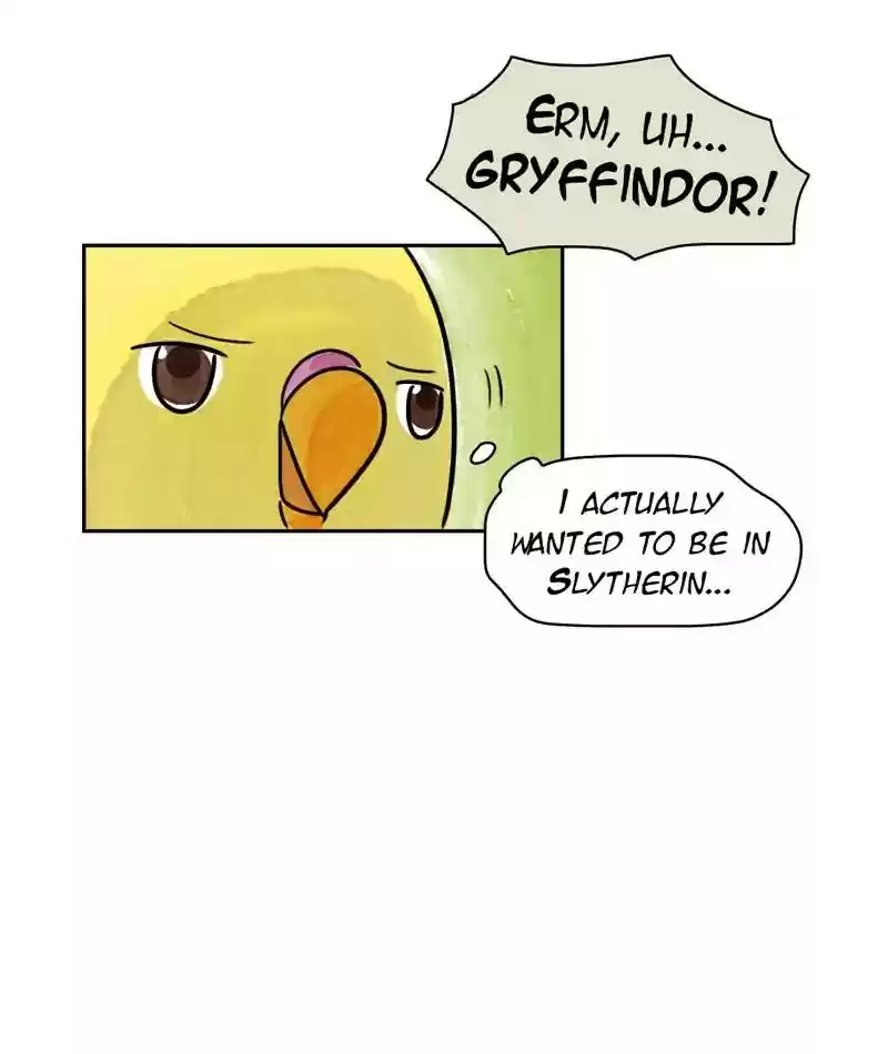 A Budgie's Life Chapter 201: Ep.200: