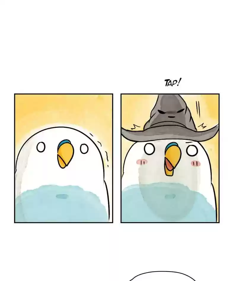 A Budgie's Life Chapter 201: Ep.200: