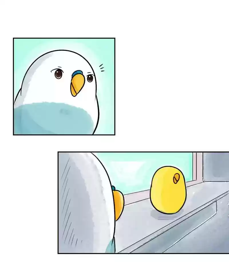 A Budgie's Life Chapter 202: Ep.201: