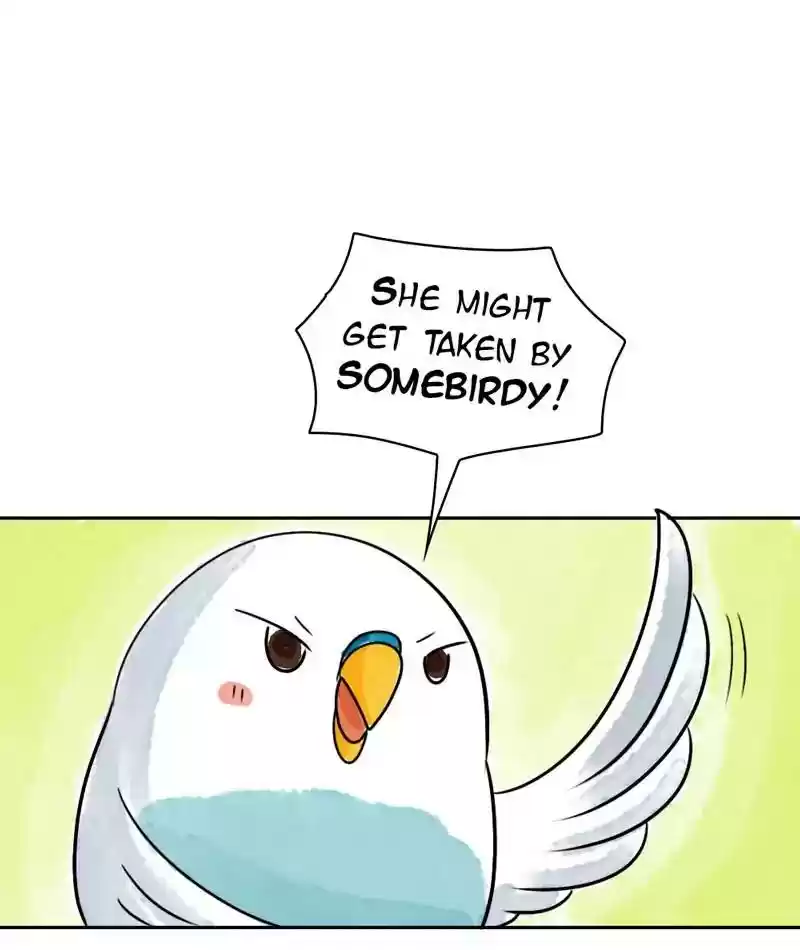 A Budgie's Life Chapter 202: Ep.201: