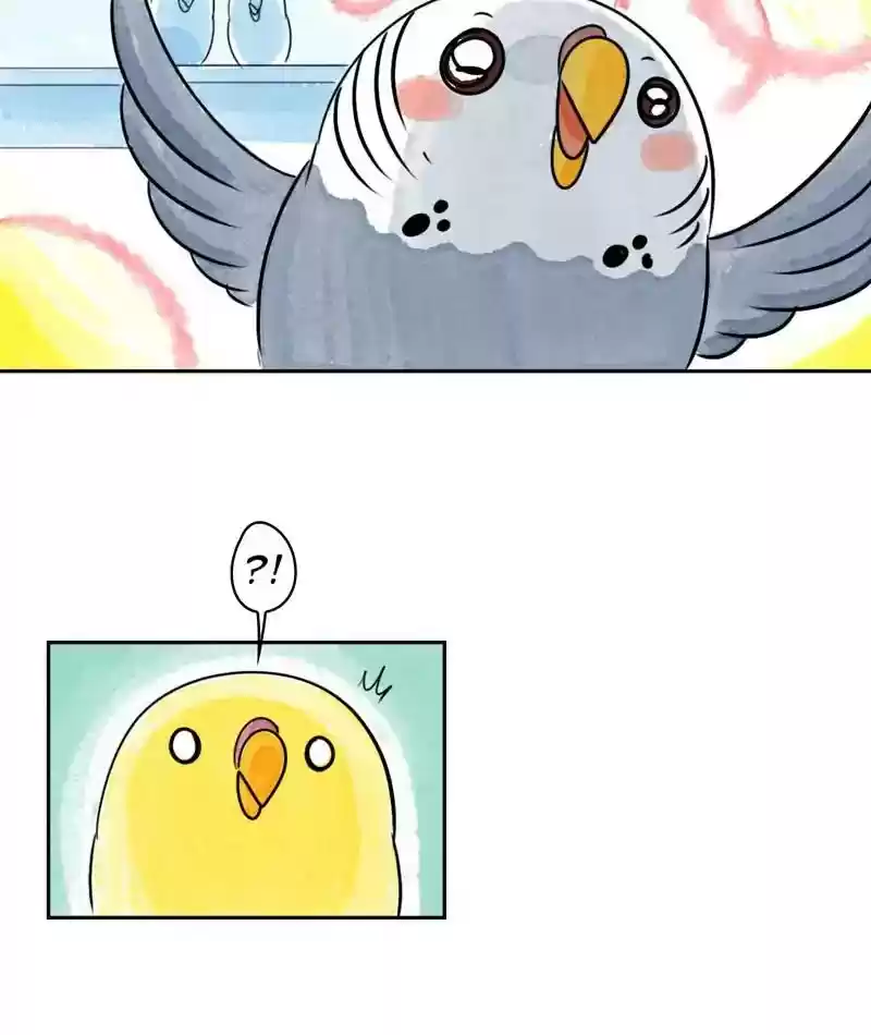 A Budgie's Life Chapter 202: Ep.201: