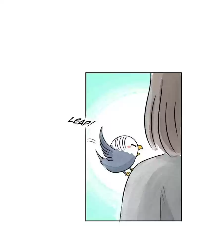 A Budgie's Life Chapter 202: Ep.201: