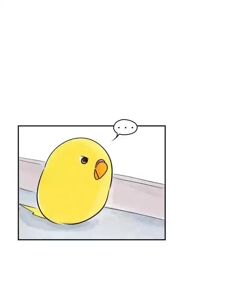 A Budgie's Life Chapter 202: Ep.201: