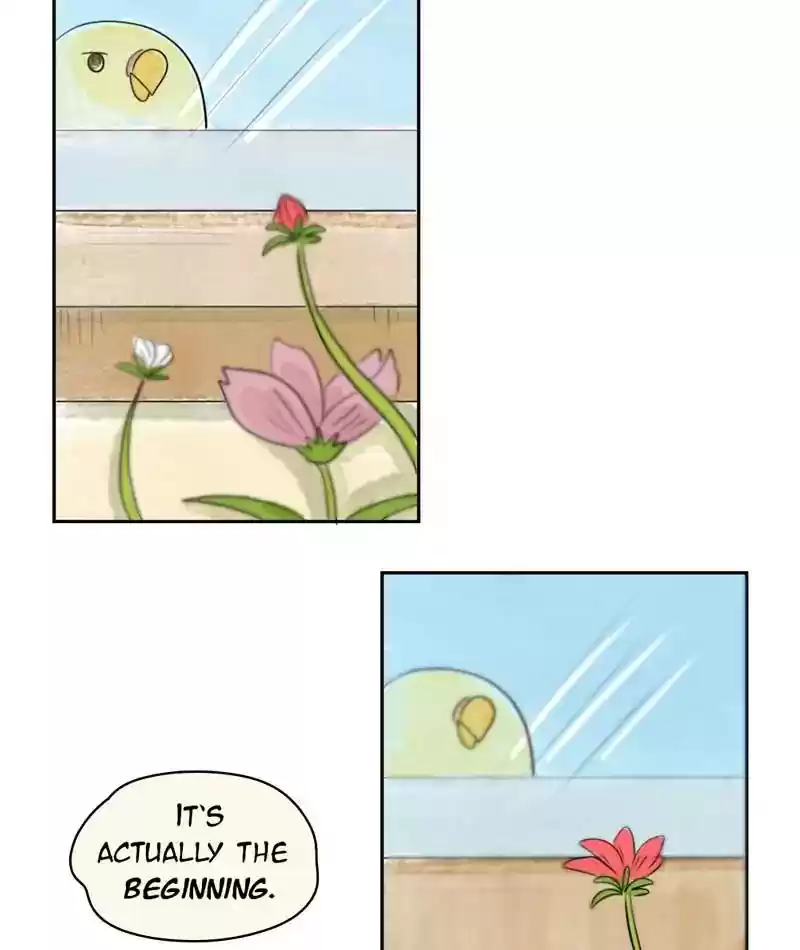 A Budgie's Life Chapter 202: Ep.201: