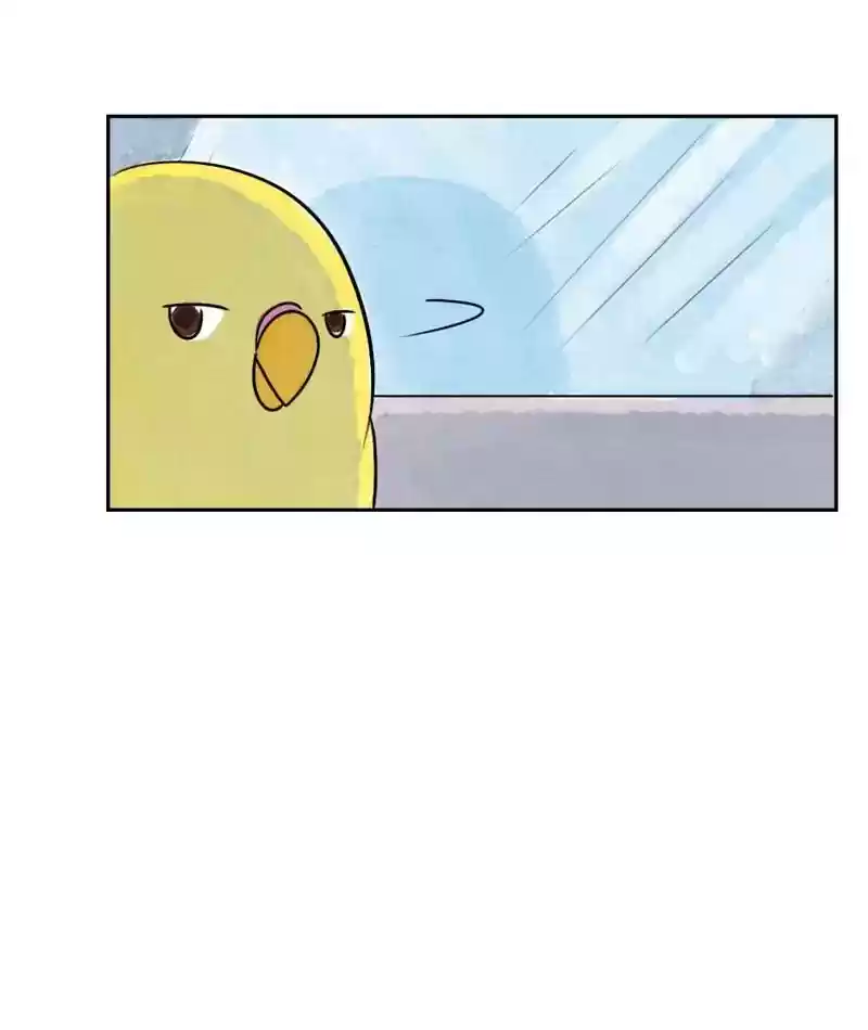 A Budgie's Life Chapter 202: Ep.201: