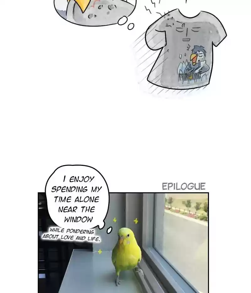 A Budgie's Life Chapter 202: Ep.201: