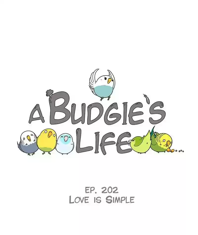 A Budgie's Life Chapter 203: Ep.202: