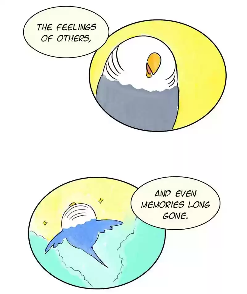 A Budgie's Life Chapter 203: Ep.202:
