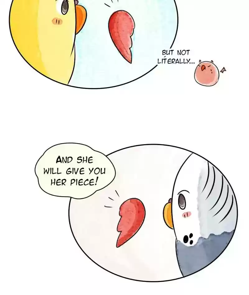 A Budgie's Life Chapter 203: Ep.202: