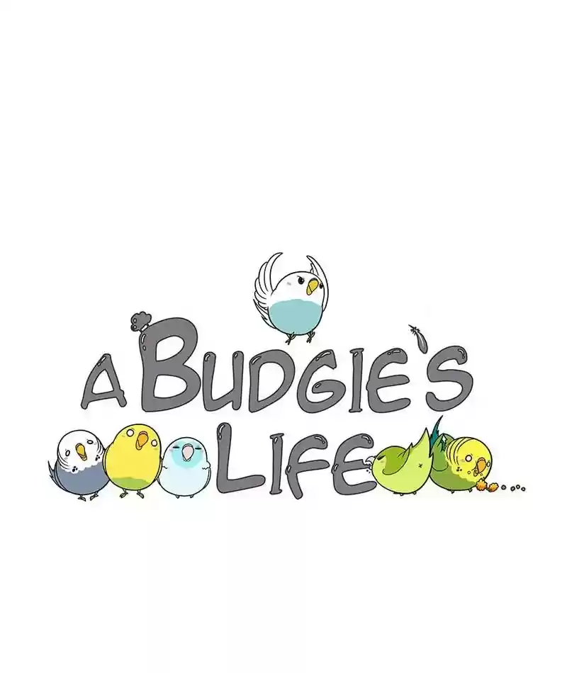 A Budgie's Life Chapter 204: Ep.203: