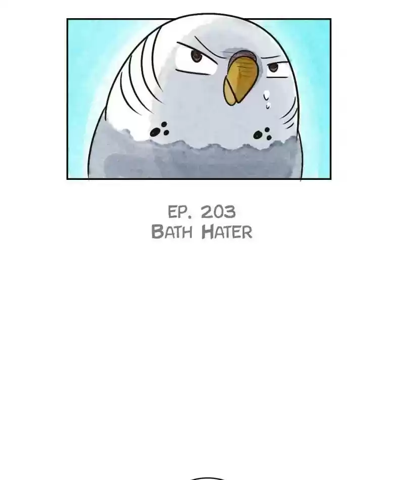 A Budgie's Life Chapter 204: Ep.203: