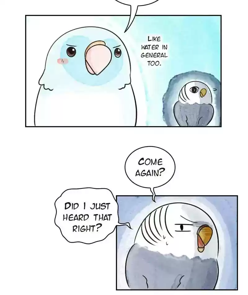 A Budgie's Life Chapter 204: Ep.203:
