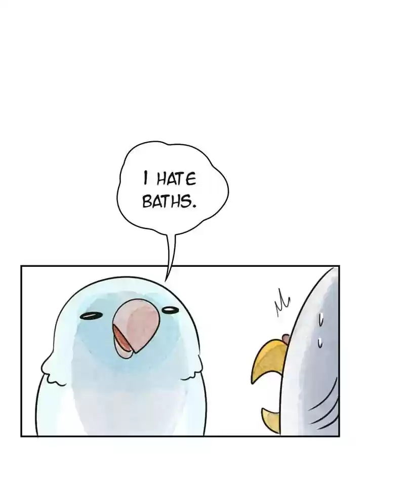 A Budgie's Life Chapter 204: Ep.203: