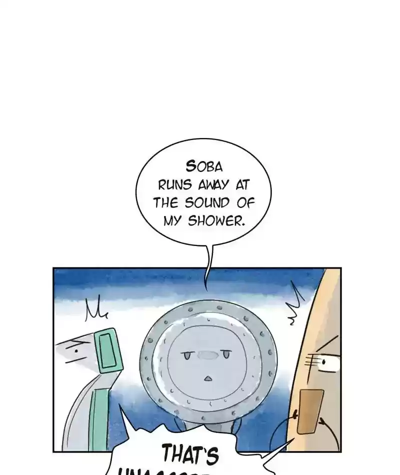 A Budgie's Life Chapter 204: Ep.203: