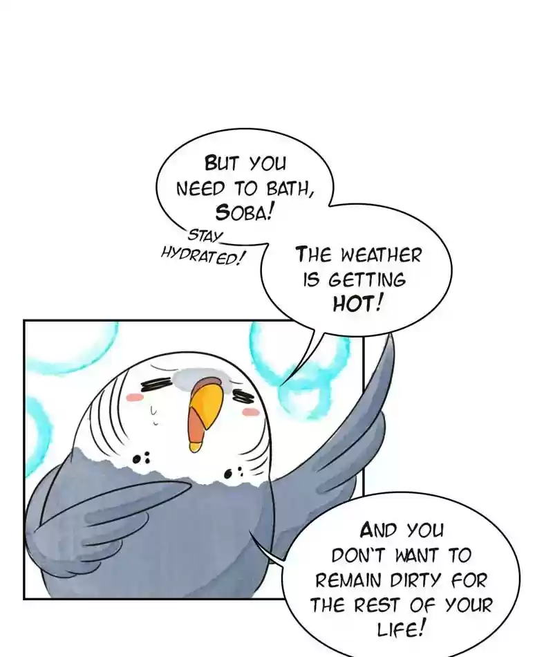 A Budgie's Life Chapter 204: Ep.203: