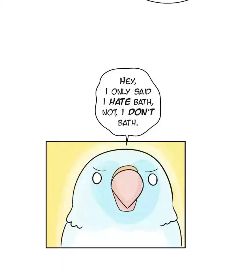 A Budgie's Life Chapter 204: Ep.203: