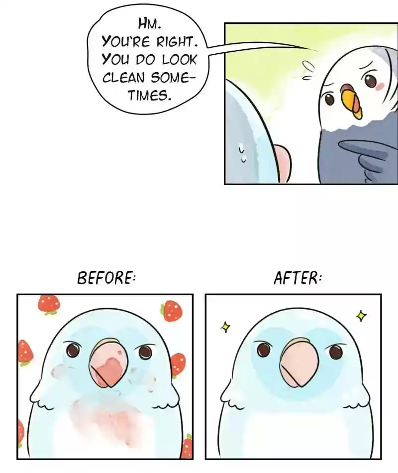 A Budgie's Life Chapter 204: Ep.203: