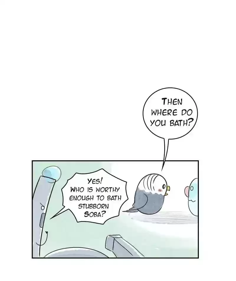 A Budgie's Life Chapter 204: Ep.203: