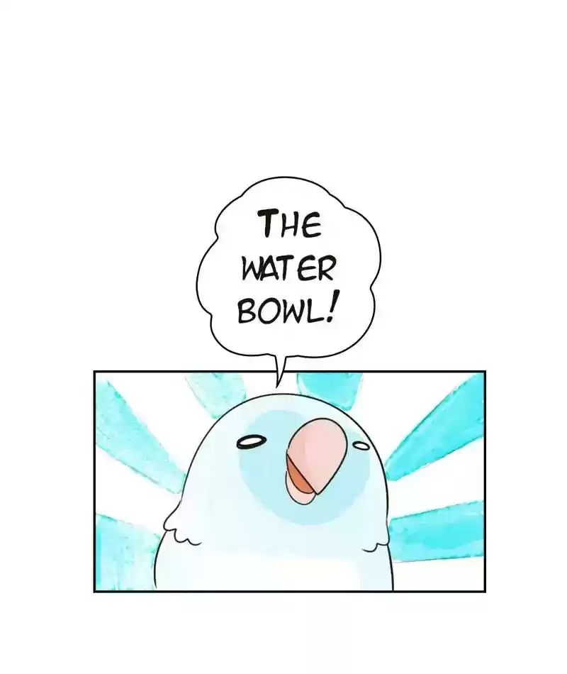 A Budgie's Life Chapter 204: Ep.203: