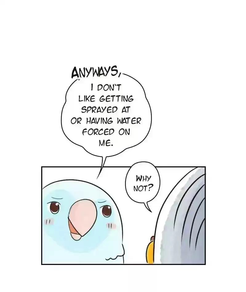 A Budgie's Life Chapter 204: Ep.203: