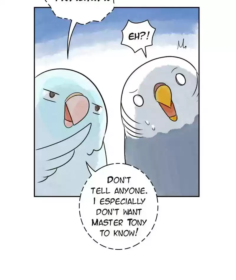 A Budgie's Life Chapter 204: Ep.203: