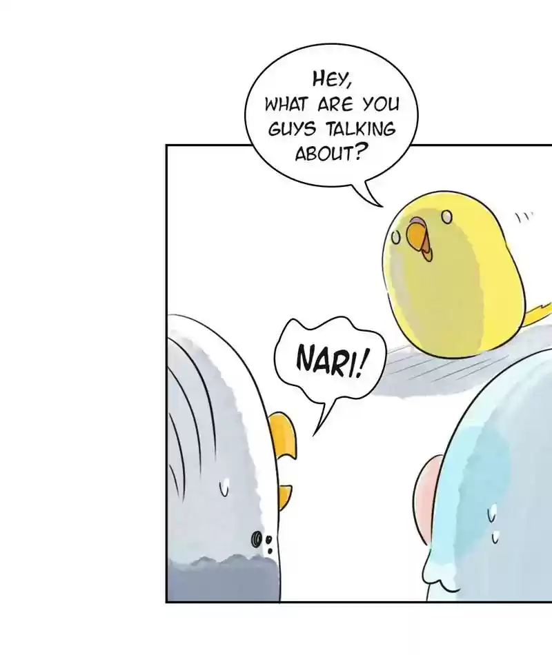A Budgie's Life Chapter 204: Ep.203: