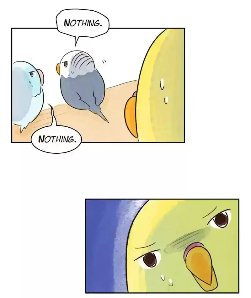 A Budgie's Life Chapter 204: Ep.203: