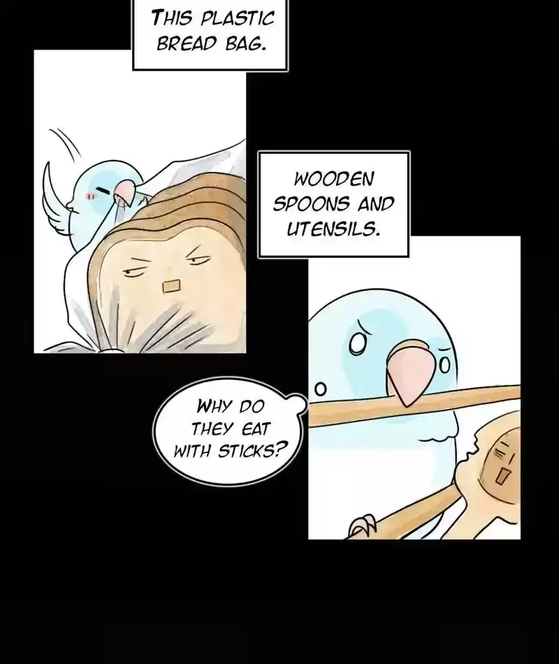 A Budgie's Life Chapter 205: Ep.204: