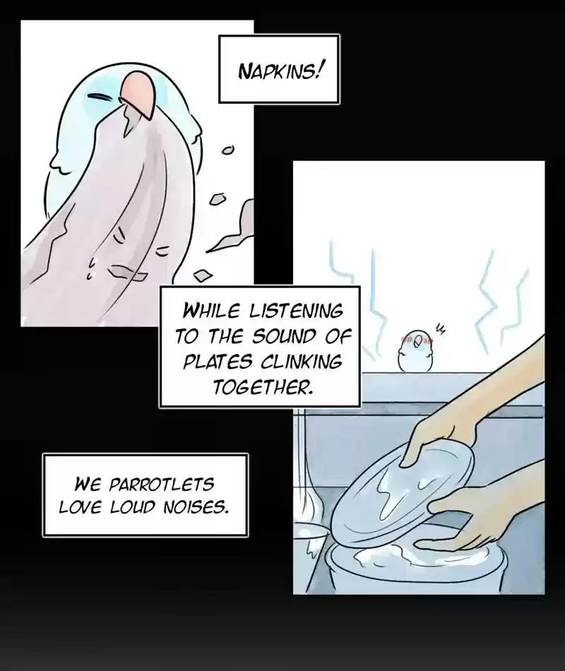 A Budgie's Life Chapter 205: Ep.204: