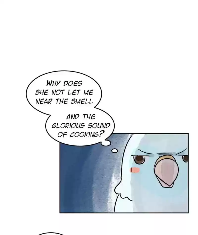 A Budgie's Life Chapter 205: Ep.204: