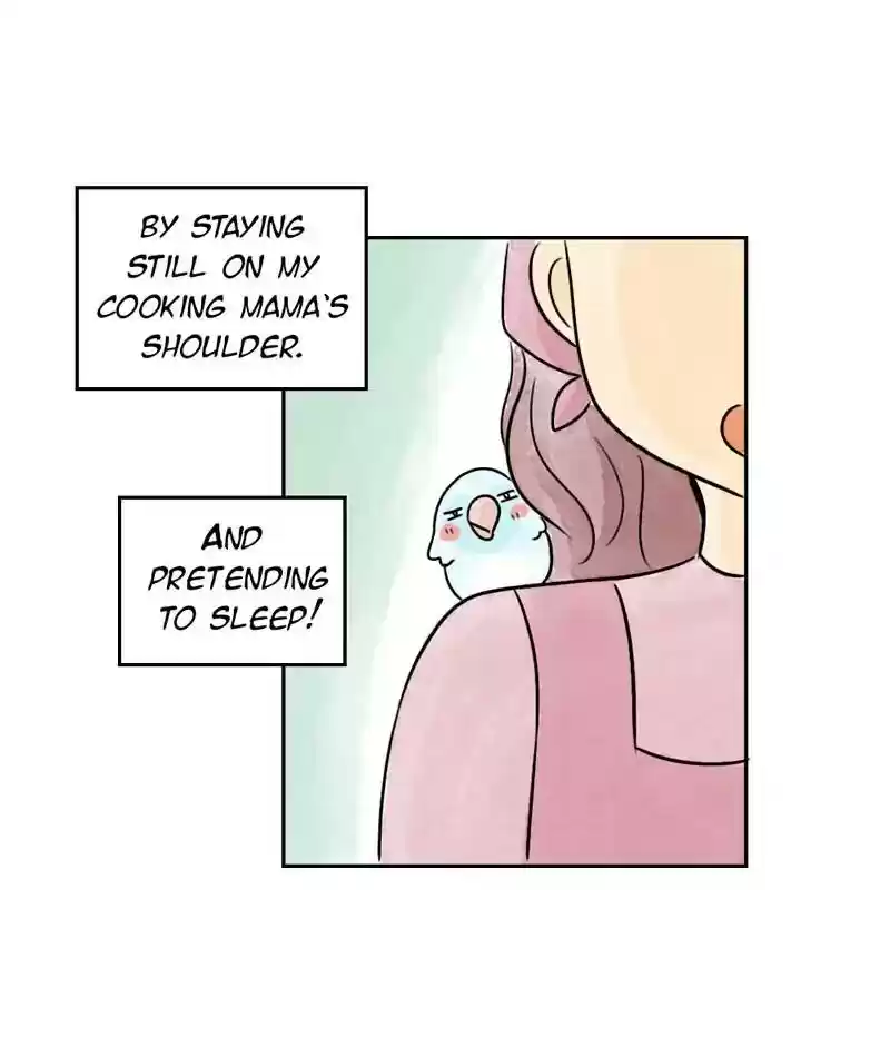 A Budgie's Life Chapter 205: Ep.204: