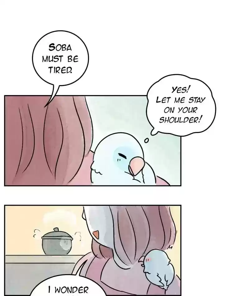 A Budgie's Life Chapter 205: Ep.204: