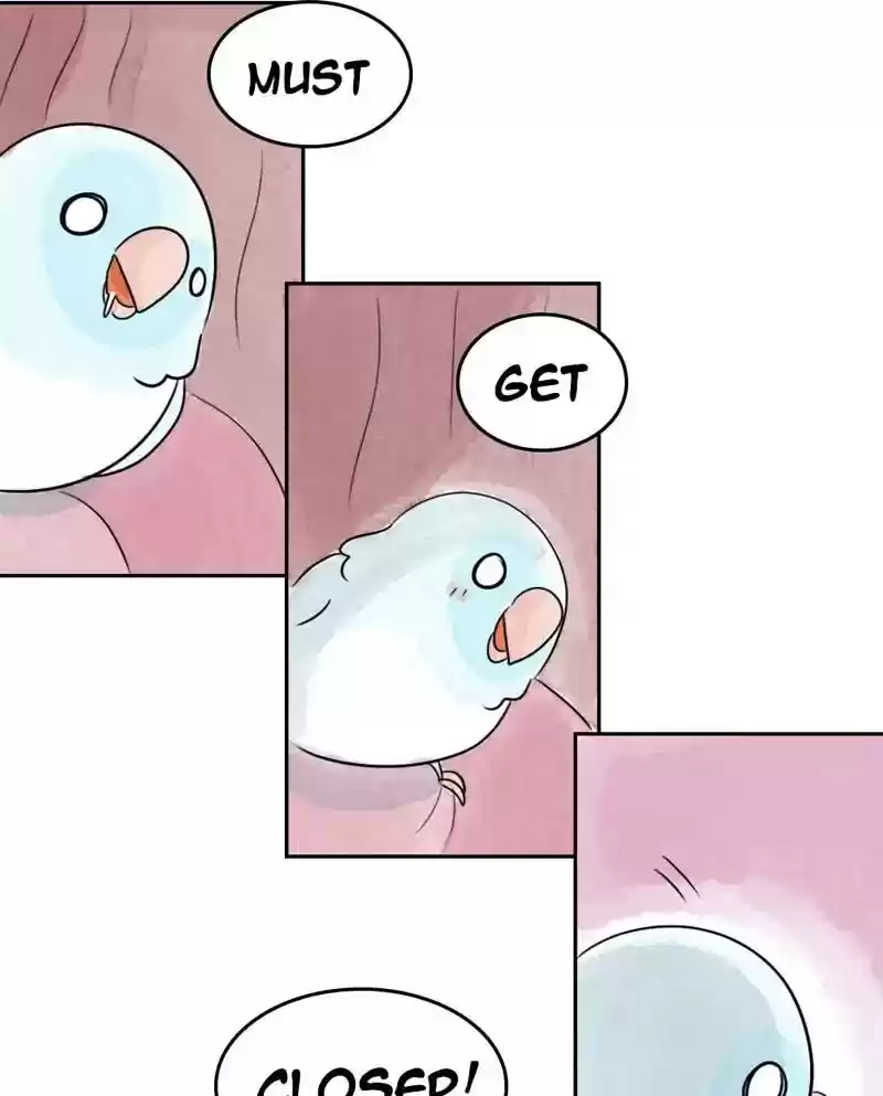 A Budgie's Life Chapter 205: Ep.204: