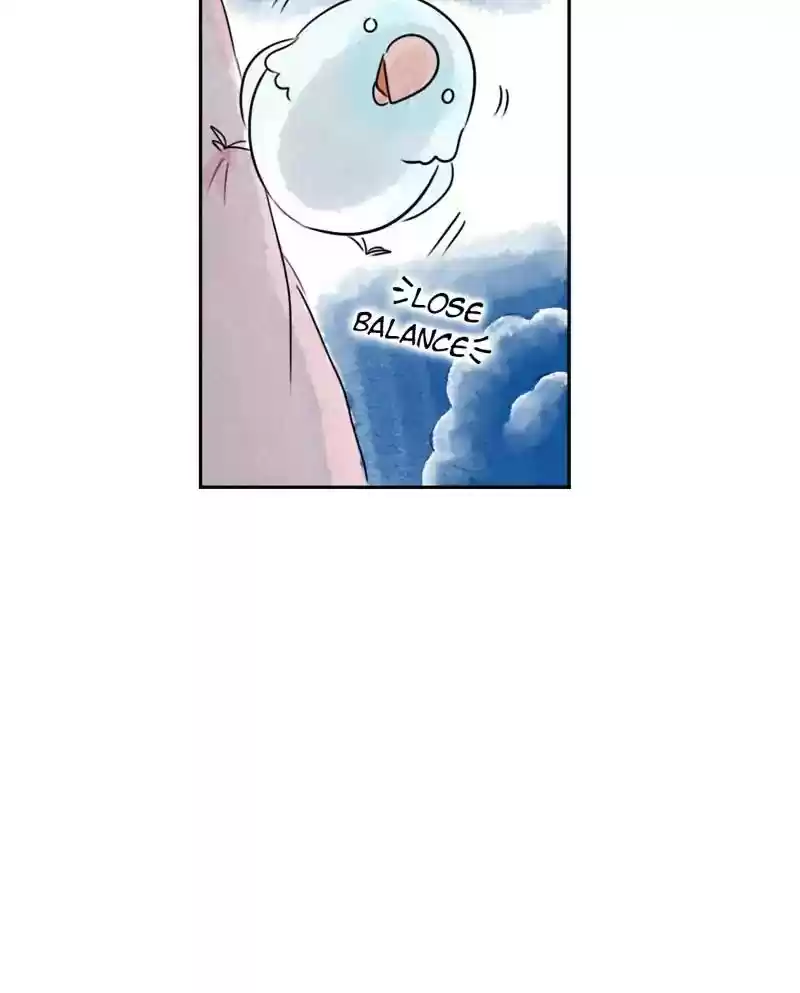 A Budgie's Life Chapter 205: Ep.204: