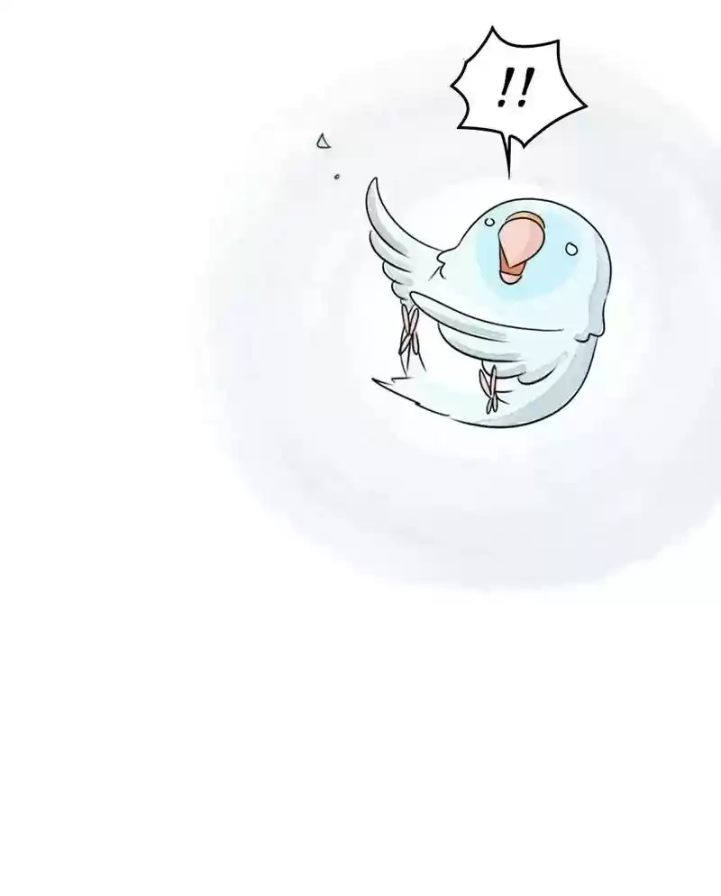 A Budgie's Life Chapter 205: Ep.204: